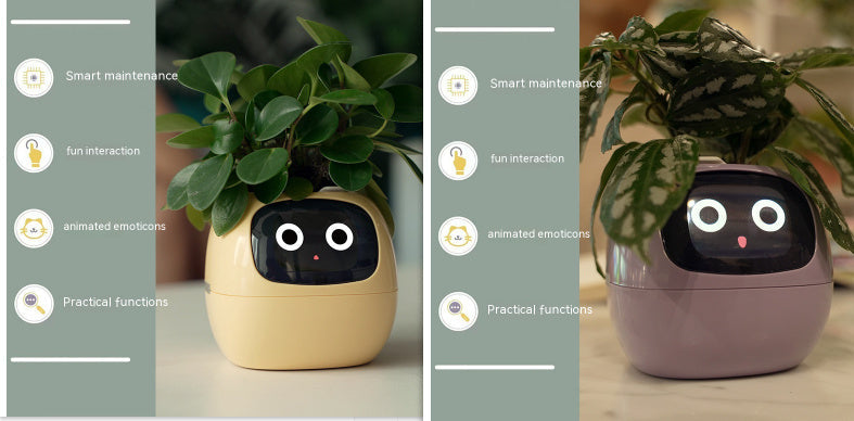 Smart Planter Endless Fun Over 49 Rich Expressions 7 Smart Sensors And AI Chips Make Raising Plants Easy And Fun Coffee Jasper