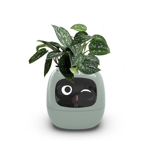 Smart Planter Endless Fun Over 49 Rich Expressions 7 Smart Sensors And AI Chips Make Raising Plants Easy And Fun Coffee Jasper
