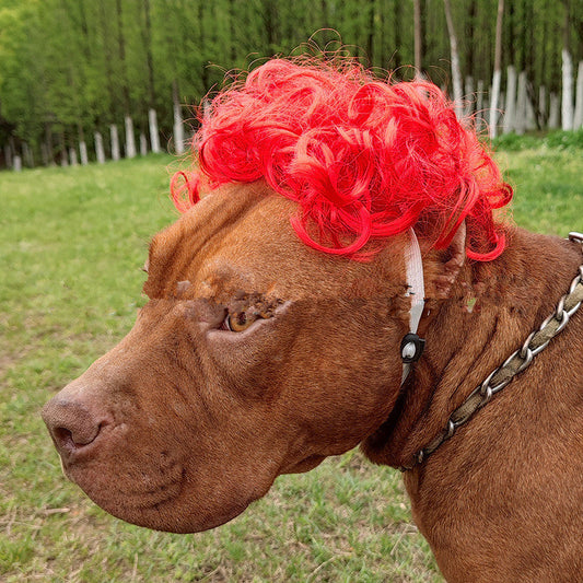 Pet Wig Afro Head Bangs Pigtail Bests Sale