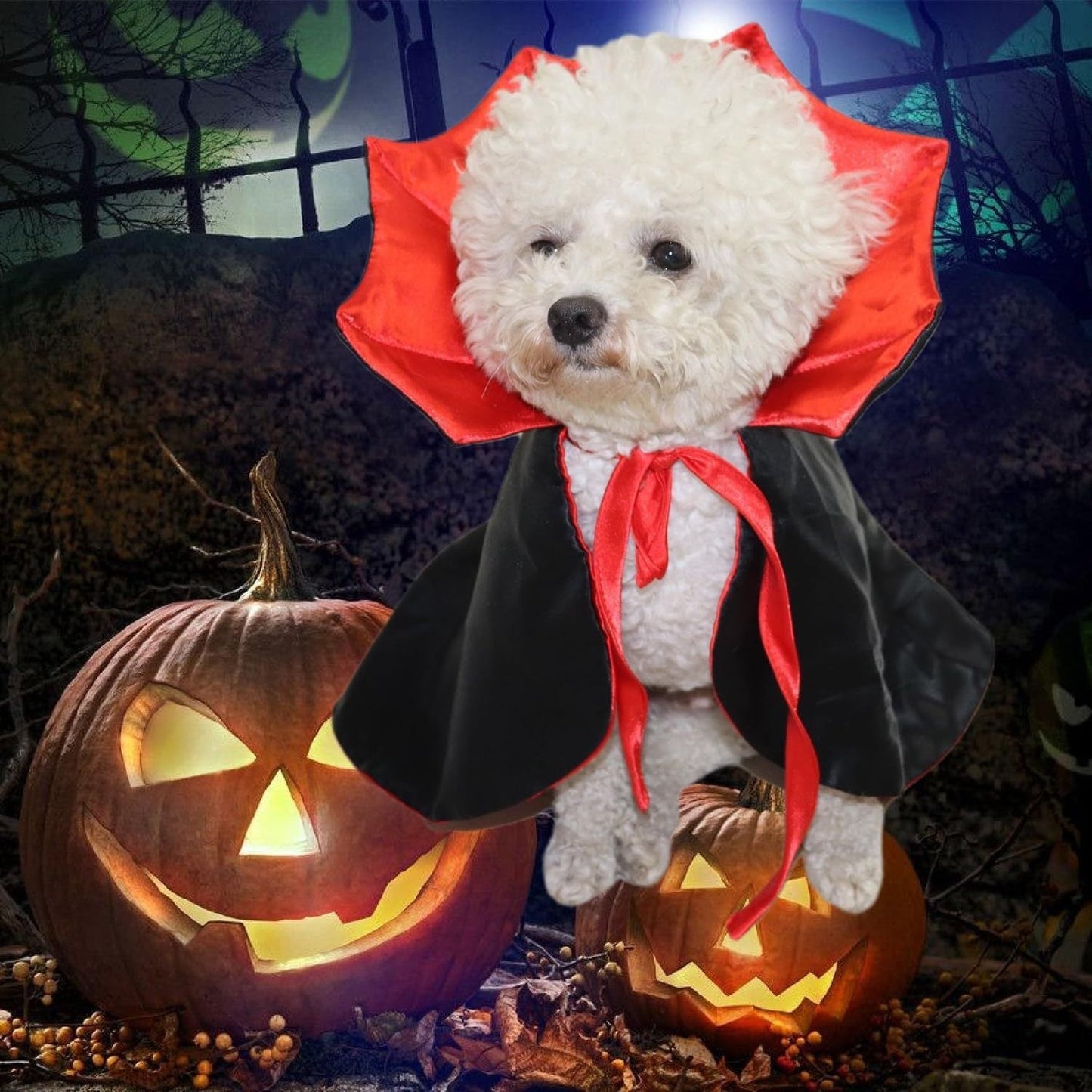 Cute Halloween Pet Costumes Cosplay Vampire Cloak For Small Dog Cat Kitten Puppy Dress Kawaii Pet Clothes Cat Accessoties Gift Bests Sale