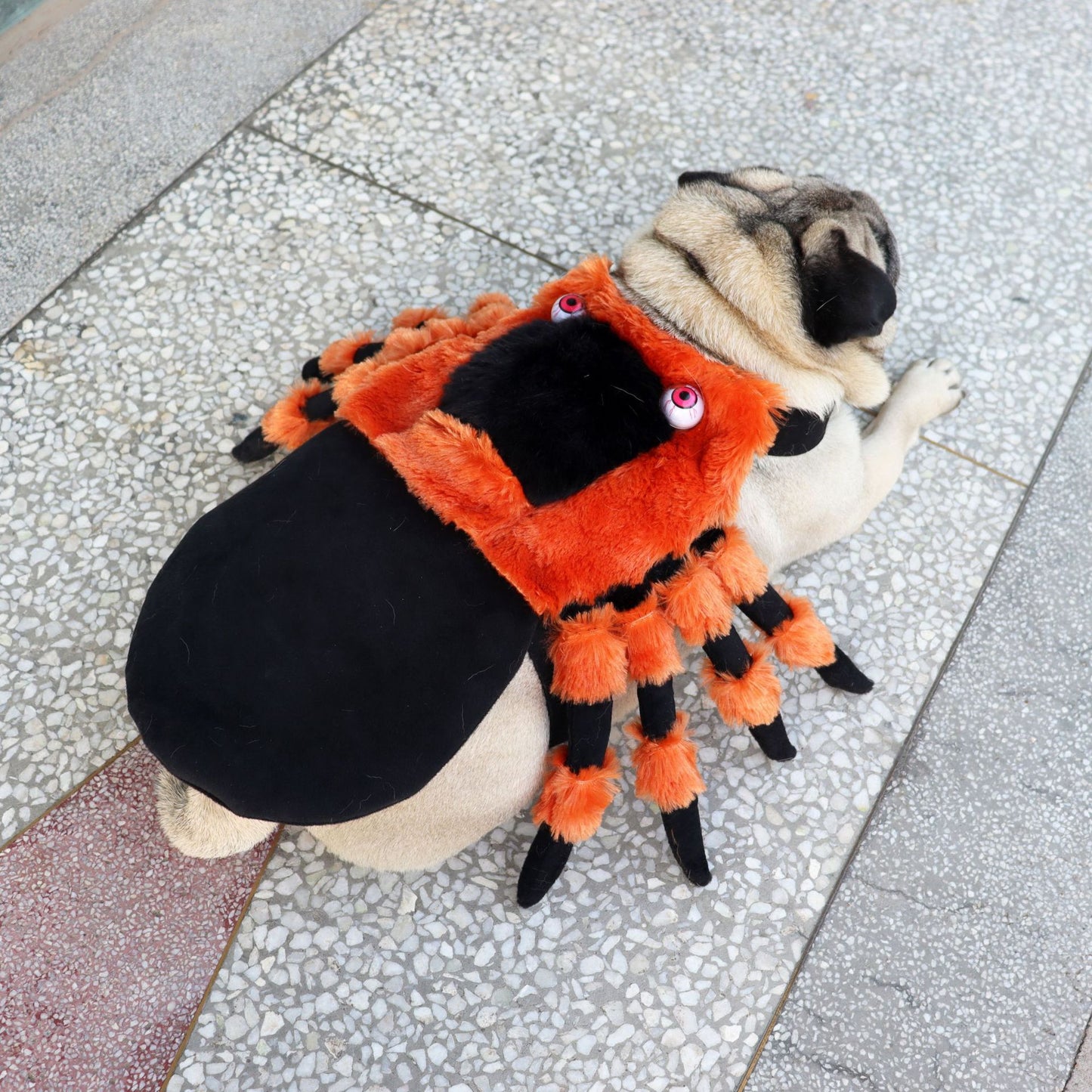 Pet Clothes Halloween Spider Pet Costume - Bests Sale