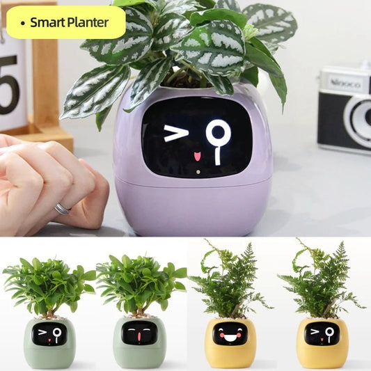 Smart Planter Endless Fun Over 49 Rich Expressions 7 Smart Sensors And AI Chips Make Raising Plants Easy And Fun Coffee Jasper