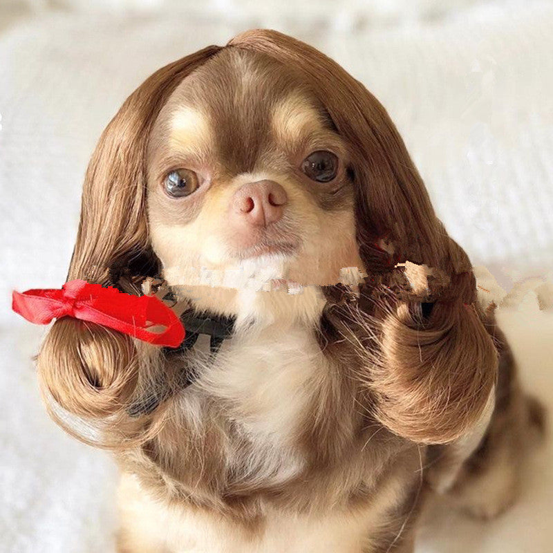 Pet Wig Afro Head Bangs Pigtail Bests Sale