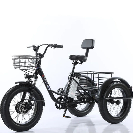 3 Wheel Fat Electric Bike 500W 48V Adult Tricycle - Removable Battery & Cargo Basket