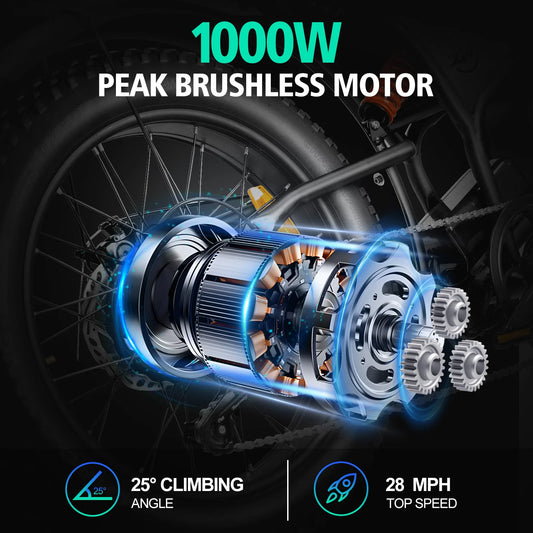 Mountain Electric Bike 1000W 48V 15Ah - Fat Tire Off-Road E-Bicycle Motorcycle Style
