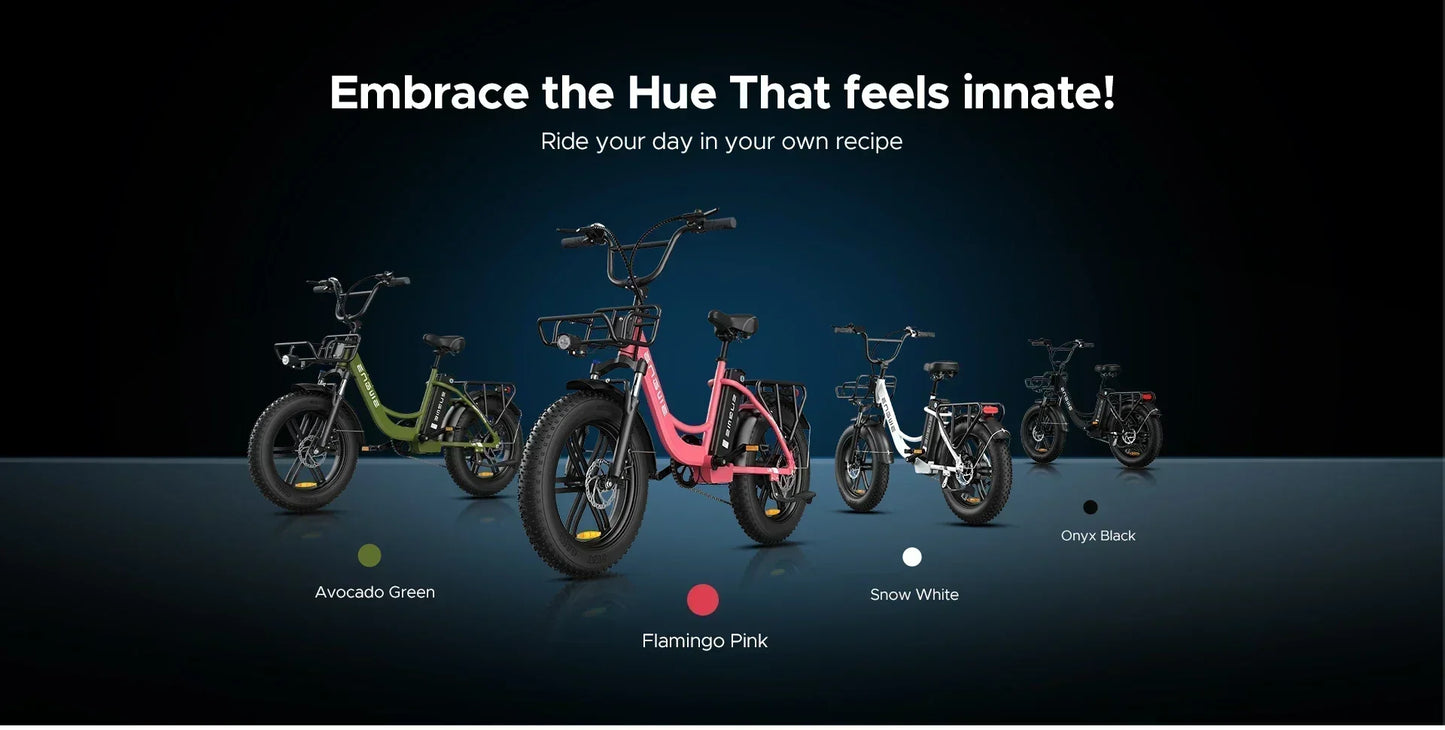 Electric Bicycle ENGWE L20 250W 48V 13AH - Fat Tire Ebike 140km Range
