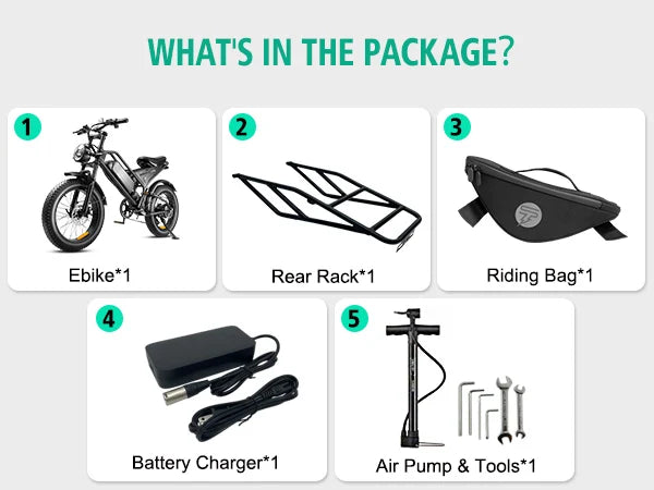 Mountain Electric Bike 1000W 48V 15Ah - Fat Tire Off-Road E-Bicycle Motorcycle Style